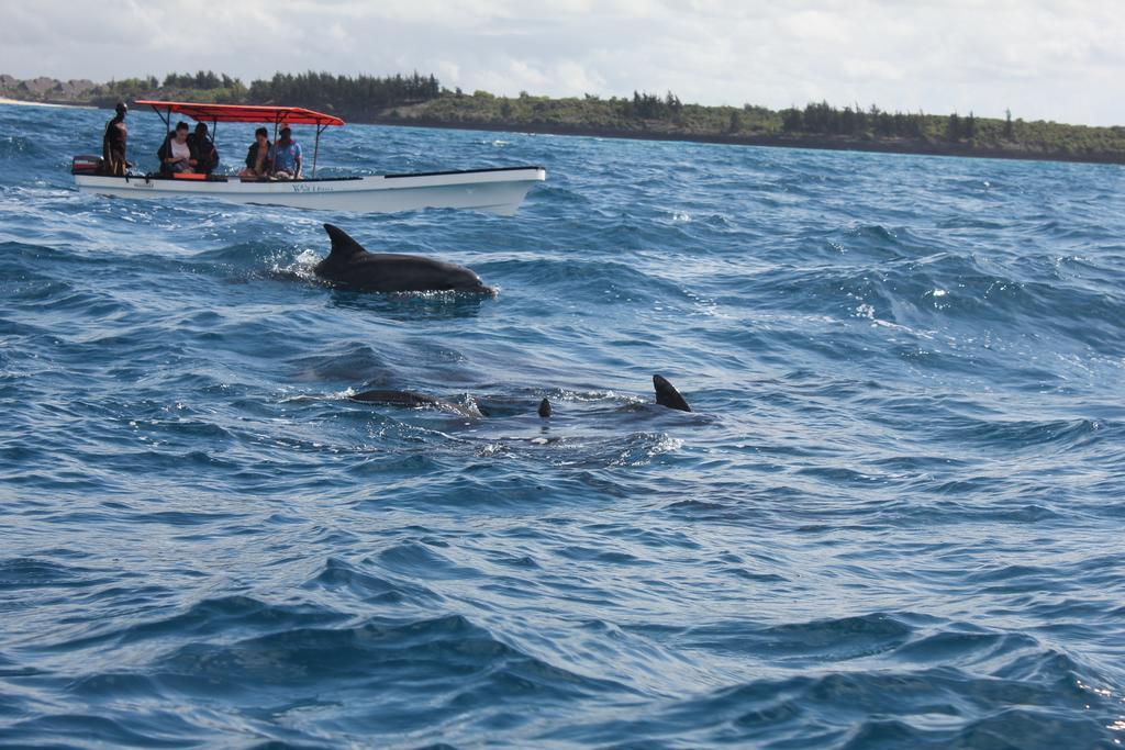 Dolphin Safari Lodge Mahonda Екстер'єр фото